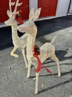 2 Deer With Lights