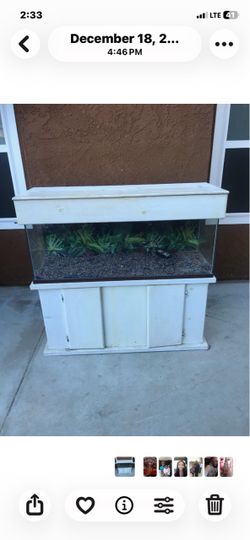 55 gallon show tank