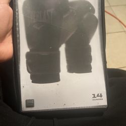 everlast boxing gloves