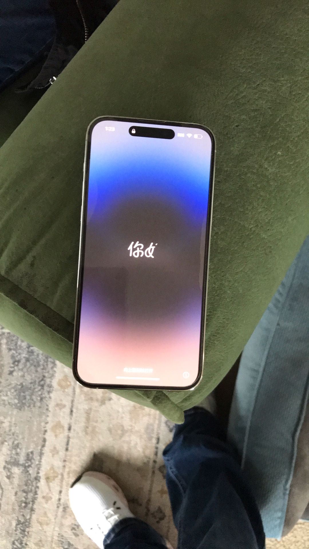 iPhone 14 Pro Max 256 Gb