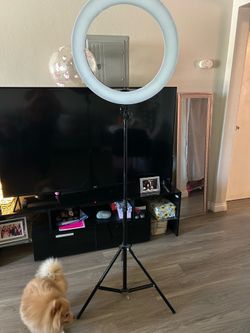 Ring light