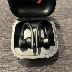 Beats Powerbeasts Pro Wireless 