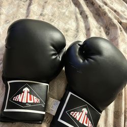 Century 14 Oz Boxing 