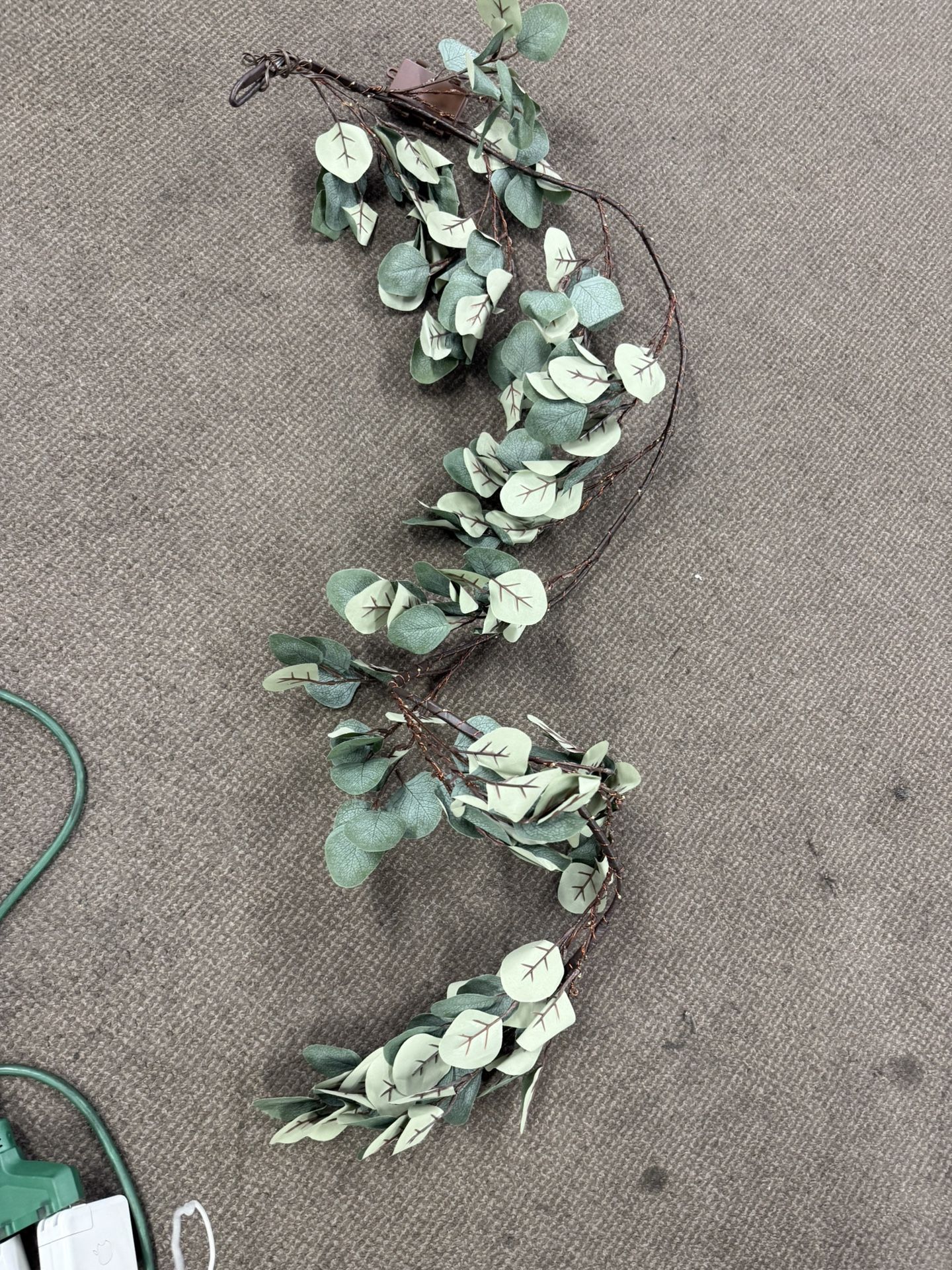 eucalyptus guide With Light