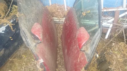 Toyota Prius Parts