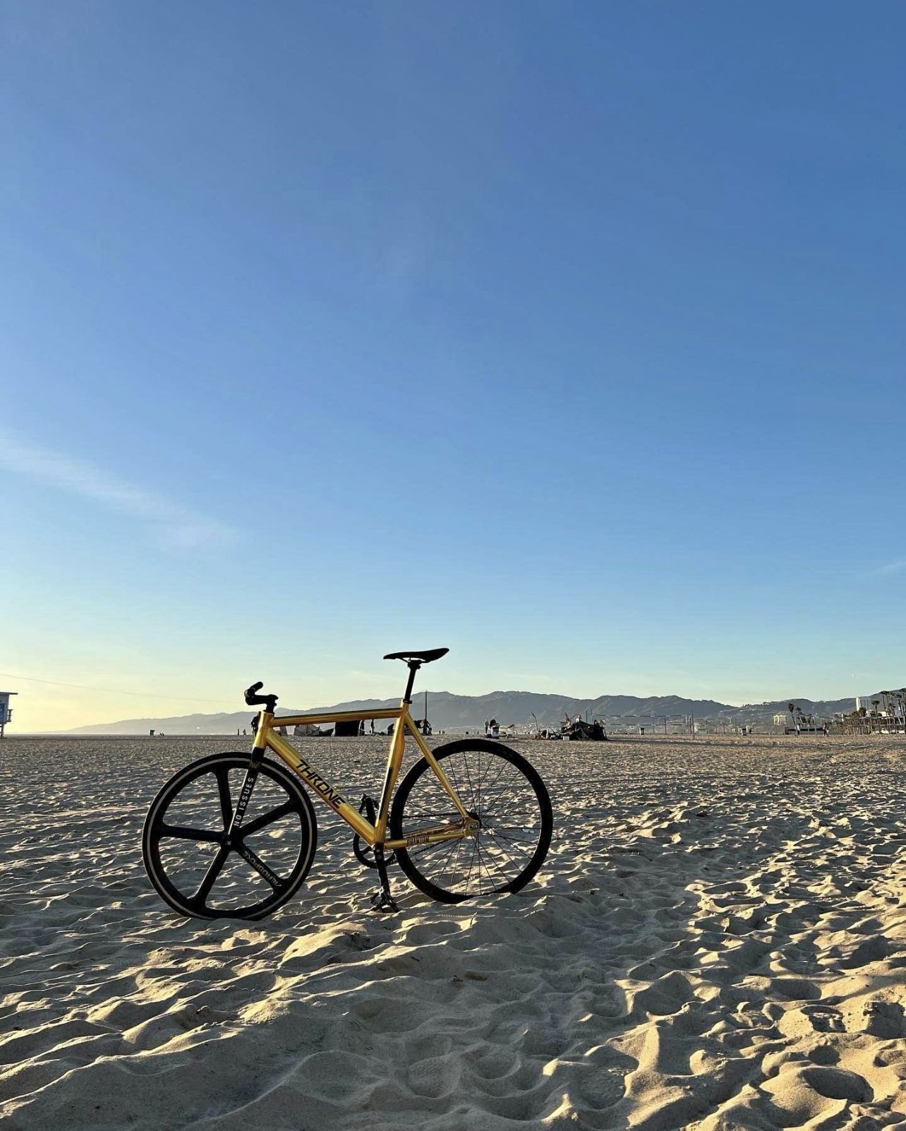 59cm Throne Track Bike