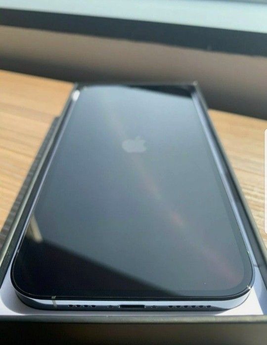Apple Iphone 12 Pro Max