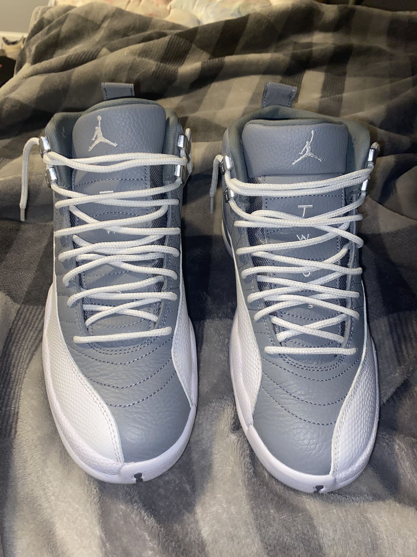 Jordan 12 Stealth