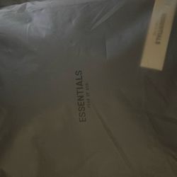 Essentials hoodie