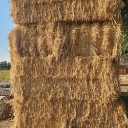 Hay For Sale