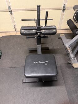 Seated calf raise and weights