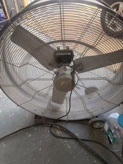 Fan