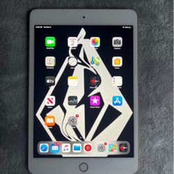 Works Good iPad Mini