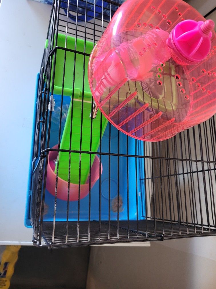 Hamster Cage 