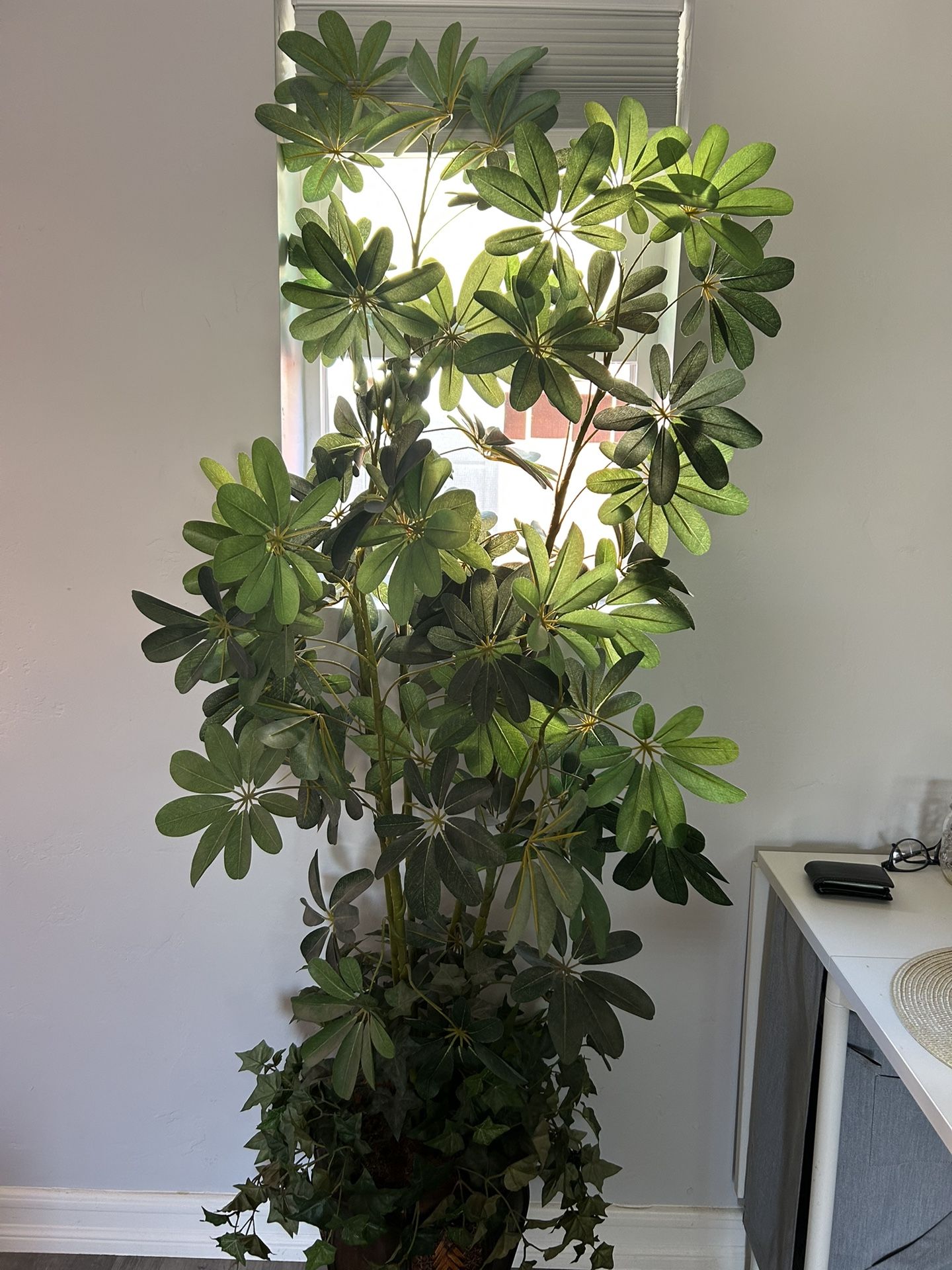 Dwarf Umbrella Plant Faux