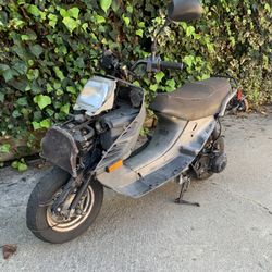 Zombie Apocalypse Honda Elite 150 150cc Scooter Thrasher Scoot