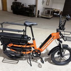 Passenger Cargo ebike (fits 1 child)
