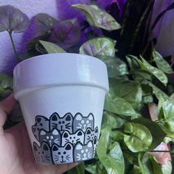 Hand Painted Pots 