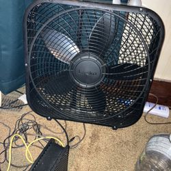 Fan