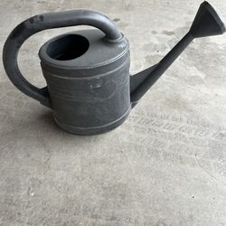 Water Plant Pitcher