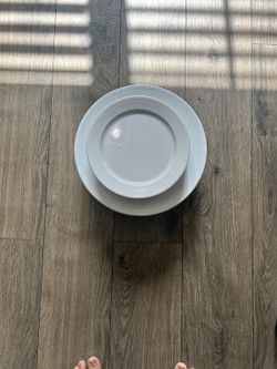 Costco plastic plates