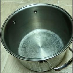 Tramontina Professional Stainless Steel Pot 8 Qt 7.6 L. No lid.
