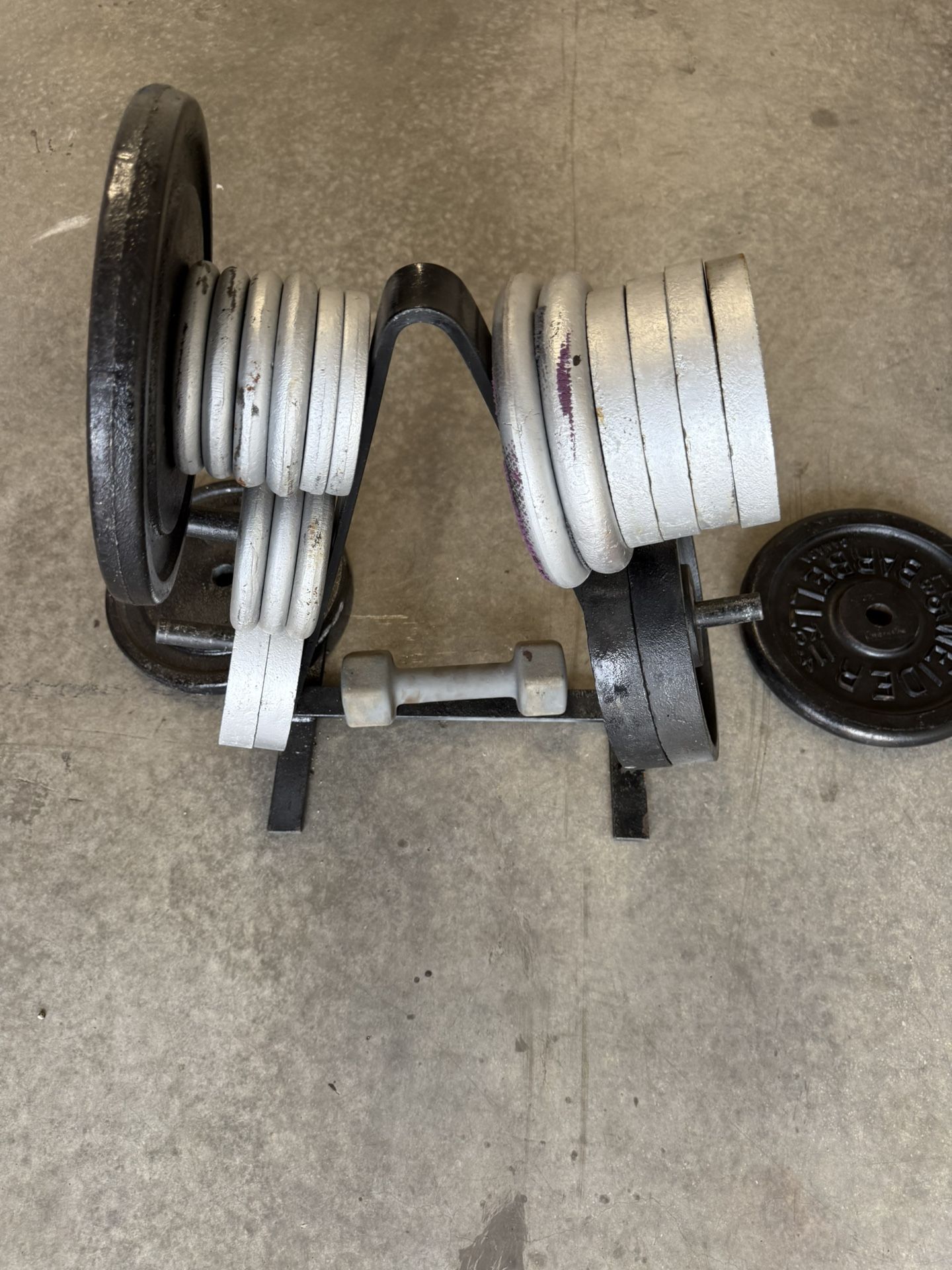 Full Set Weights + Rack – Juego Completo de Pesas con Base – $200