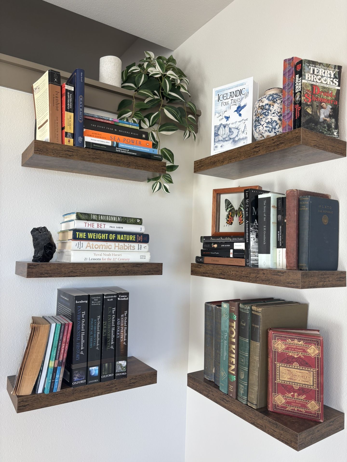 New wooden shelving and plant for sale
