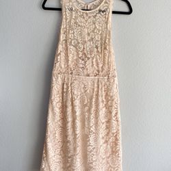 Anthropologie Blush Lace Dress (size 6)