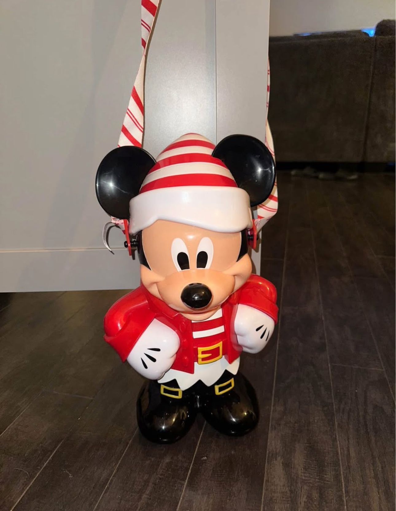 disney popcorn bucket