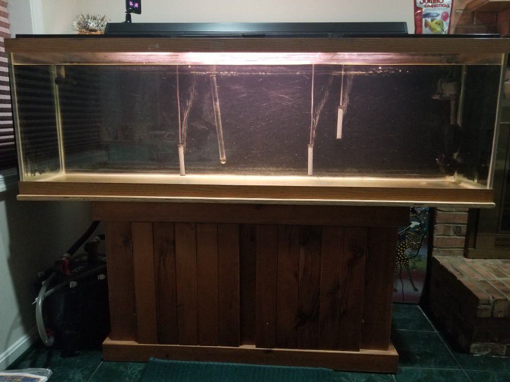 6ft. Fishtank, Fluval FX4 Cannister Filter and Accessories