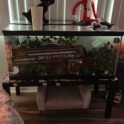 Reptile Enclosure All Included Or Separate  (Local Only Please!)