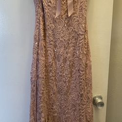 Blush Sequin And Lace Dress