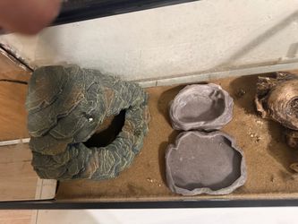 Reptile Tank