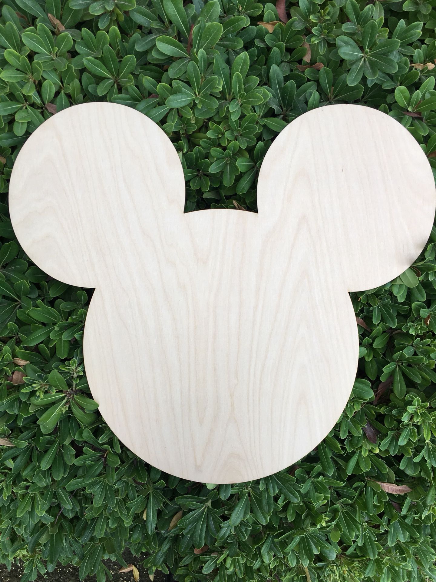16” Wood Laser Cut Mickey or Minnie Mouse Head Cutout