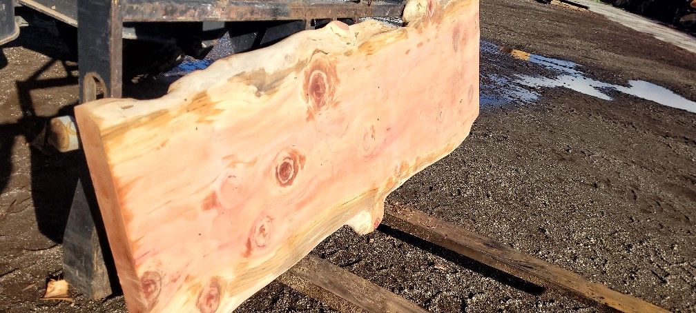 Redwood Slab