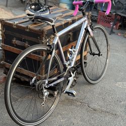 Trek 2100