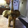 brass elephant best check my offers