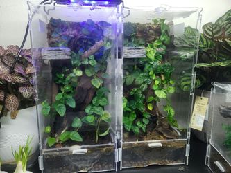 Zilla Bio-active Tanks