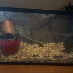10 Gal Fishtank 
