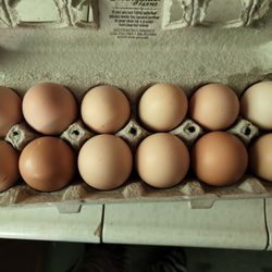 Organic Eggs For Sale Buy 2 Get 1 ,free
