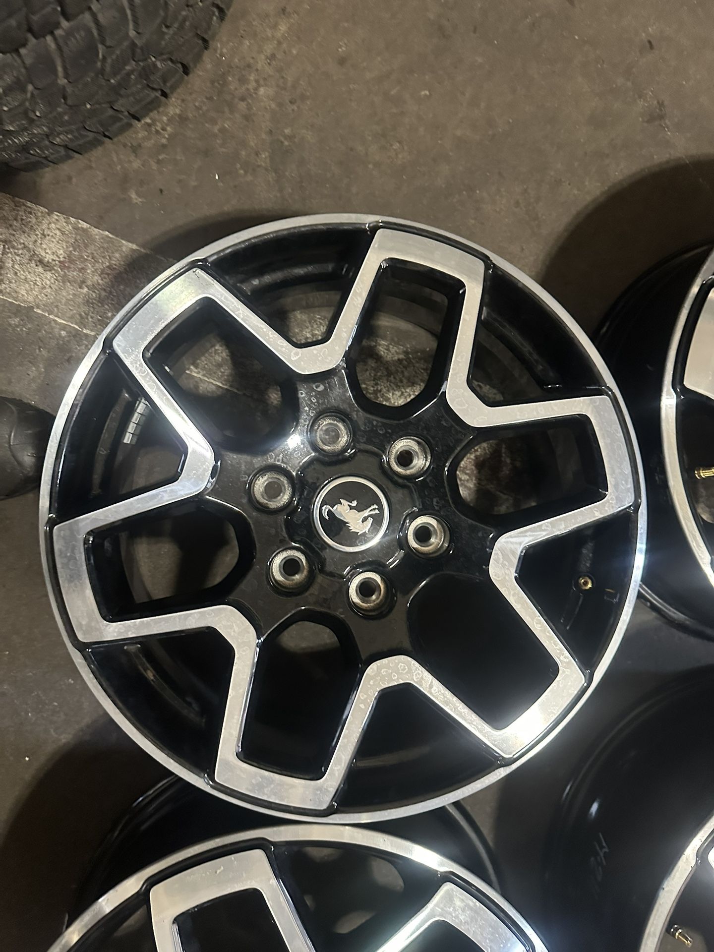 ford bronco wheels 