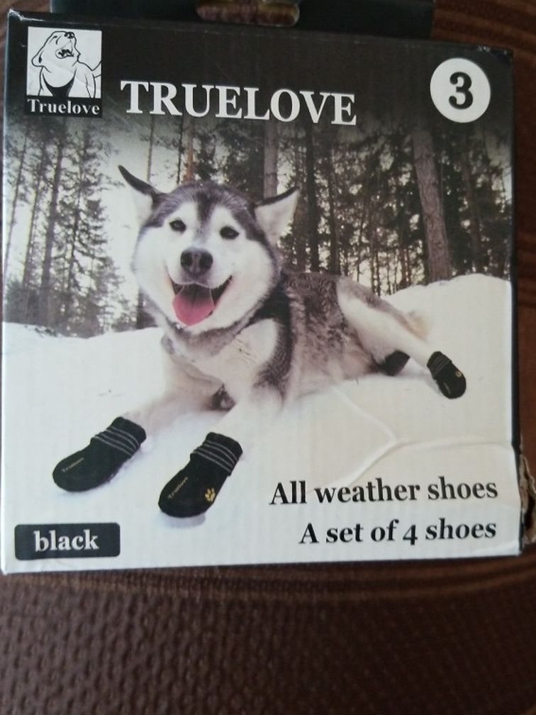 All weather shoes for dogs