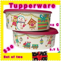 Tupperware Set Of Two Bowls