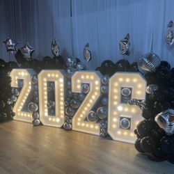 Marquee Light Up Numbers