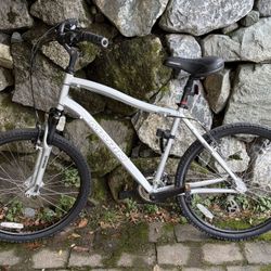 Marin Stinson 19” Bike + Full Accessory Bundle