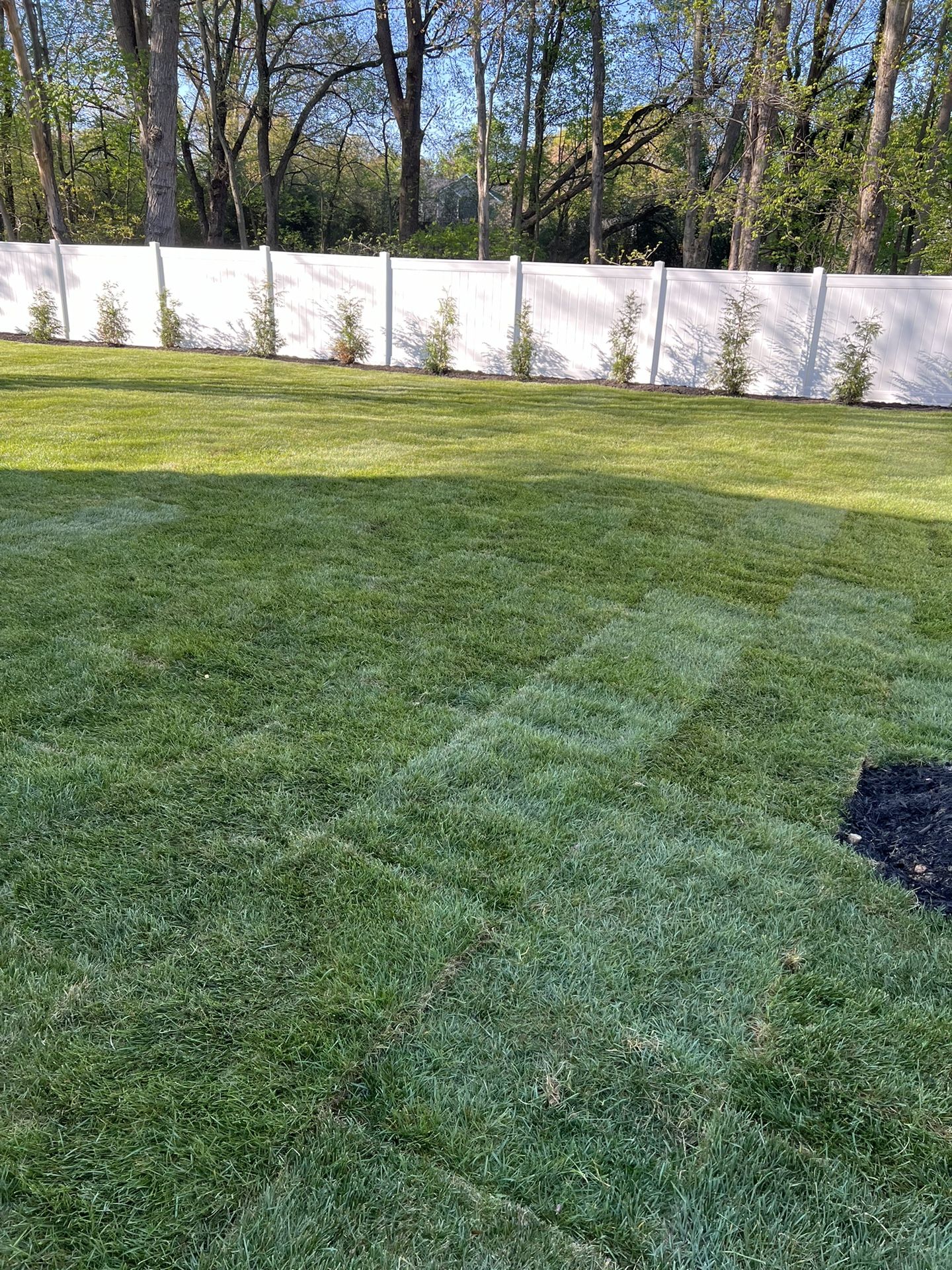 Sod Installation