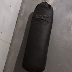 Everlast Hanging Punching Bag