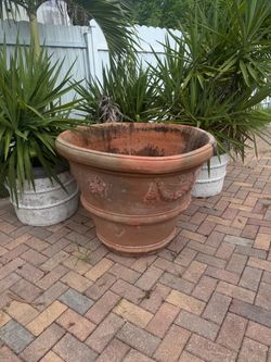Tree bowl , good for any mediun size tree