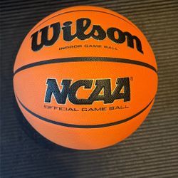 New Wilson Evo Nxt Basketball Official Size